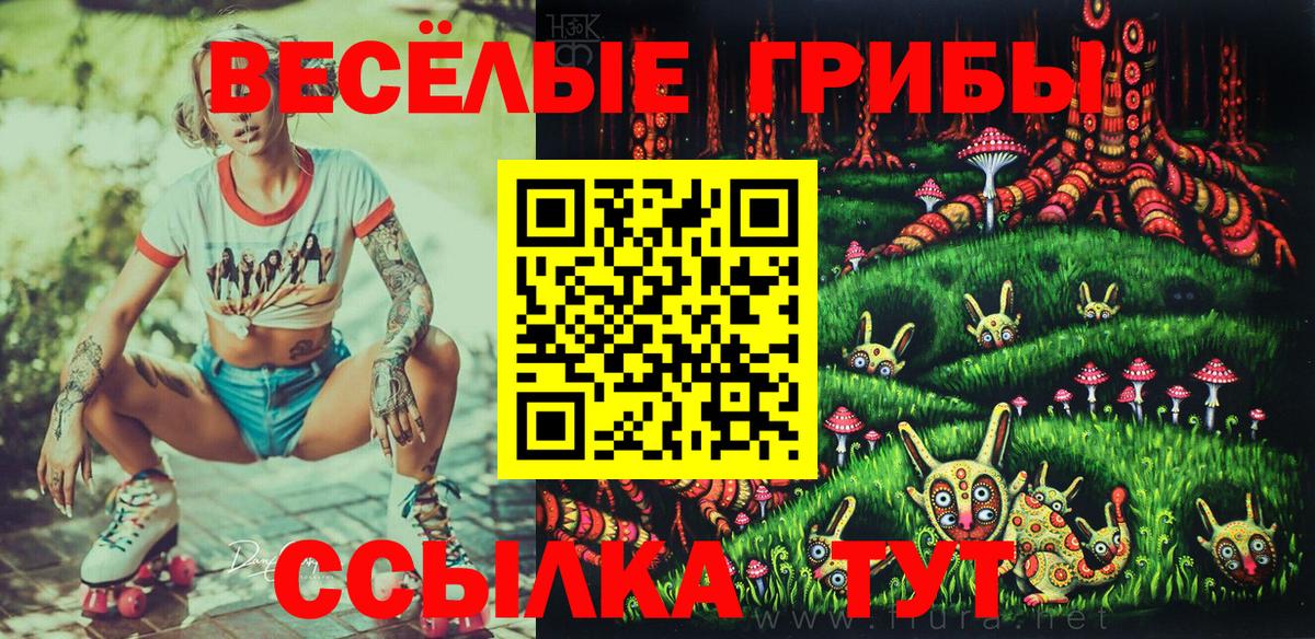 Псилоцибиновые грибы мухоморы Вичуга