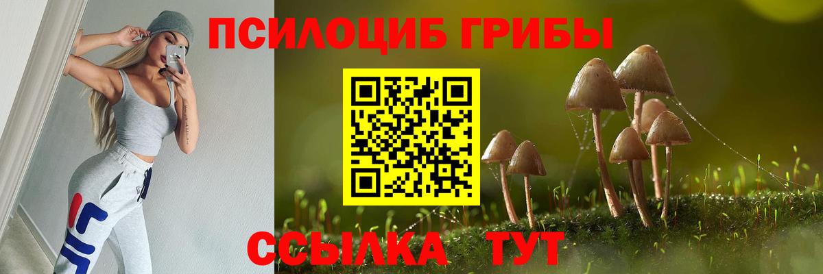 Вичуга  Галлюциногенные грибы Cubensis  Вход с VPN 